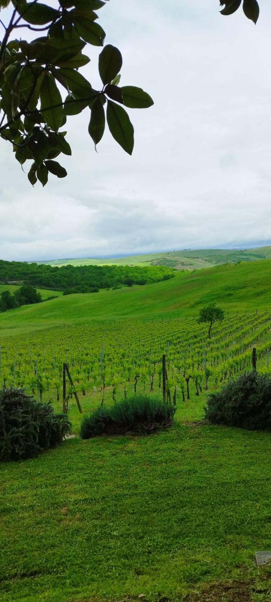 Agriturismo Bagnaia ซันกีรีโกดอร์เชีย ภายนอก รูปภาพ