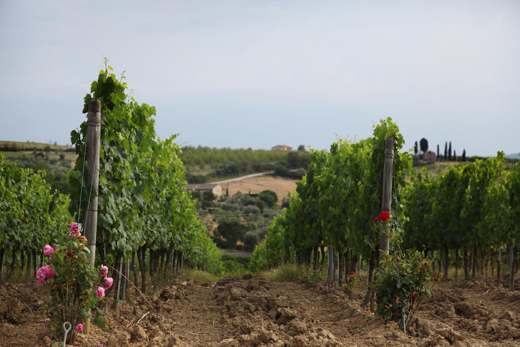 Agriturismo Bagnaia ซันกีรีโกดอร์เชีย ภายนอก รูปภาพ
