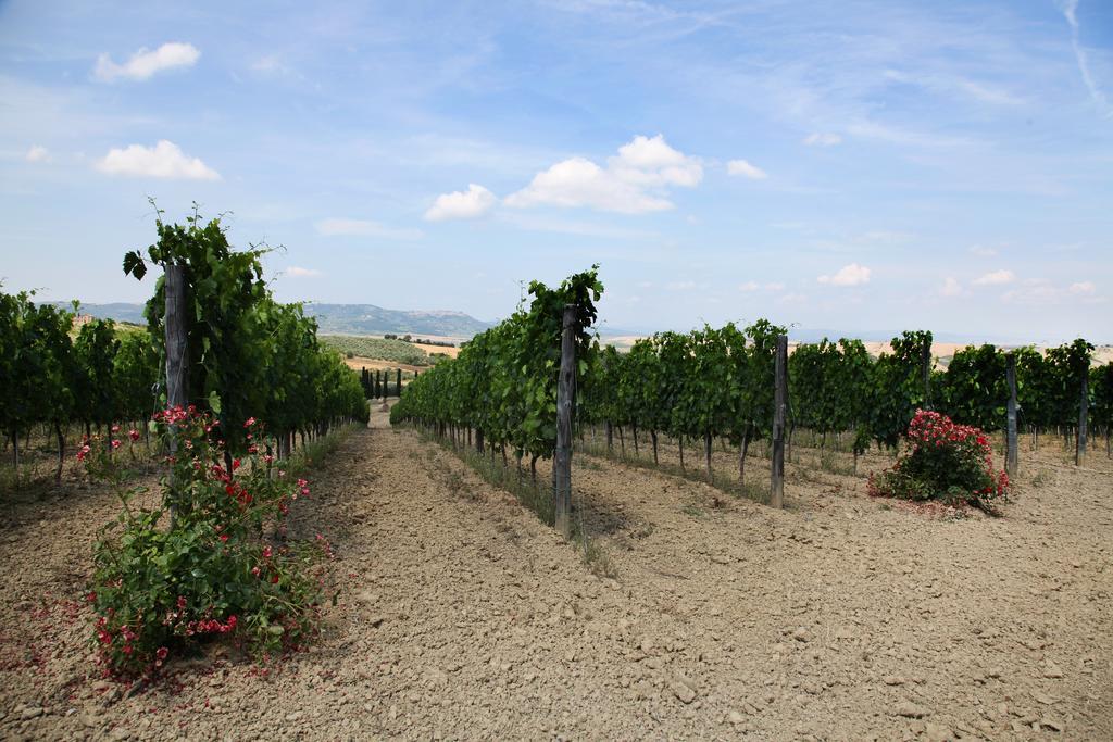 Agriturismo Bagnaia ซันกีรีโกดอร์เชีย ภายนอก รูปภาพ