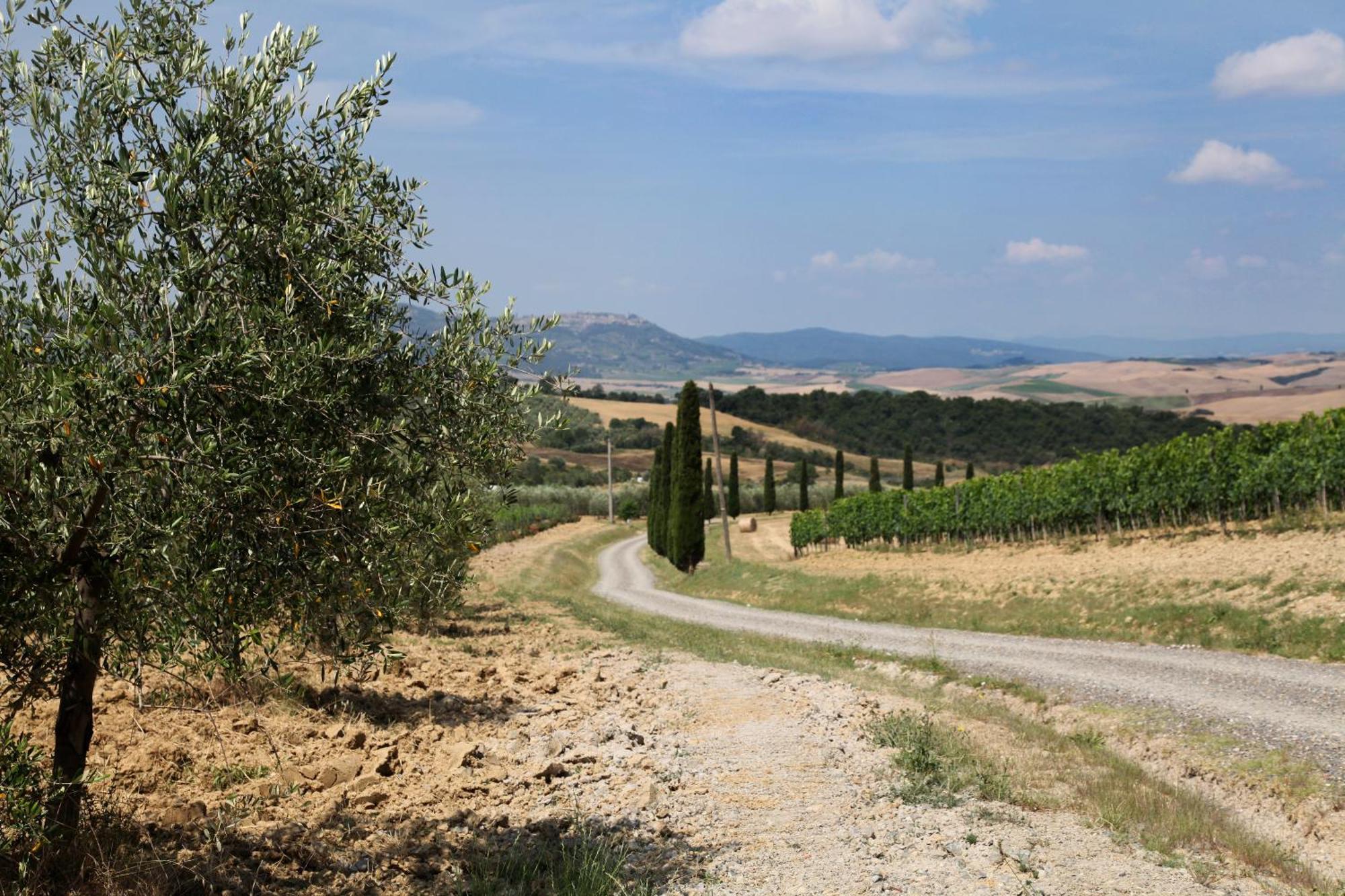 Agriturismo Bagnaia ซันกีรีโกดอร์เชีย ภายนอก รูปภาพ