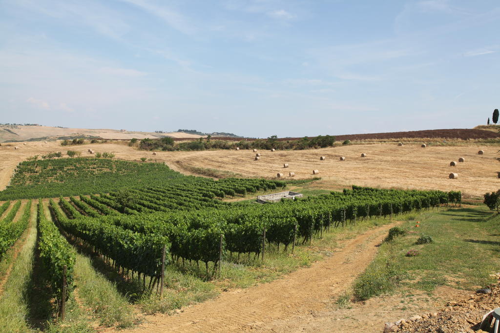 Agriturismo Bagnaia ซันกีรีโกดอร์เชีย ภายนอก รูปภาพ