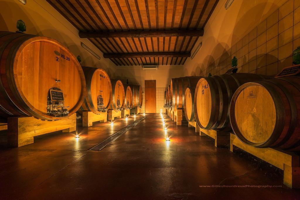 Agriturismo Bagnaia ซันกีรีโกดอร์เชีย ภายนอก รูปภาพ