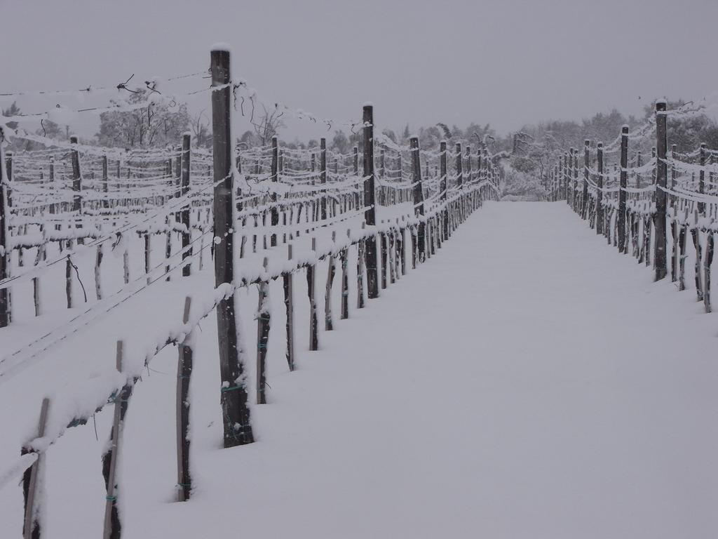 Agriturismo Bagnaia ซันกีรีโกดอร์เชีย ภายนอก รูปภาพ