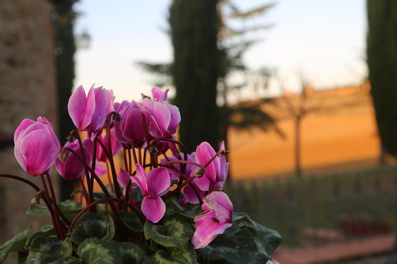 Agriturismo Bagnaia ซันกีรีโกดอร์เชีย ภายนอก รูปภาพ